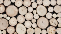 Dřevěné obklady