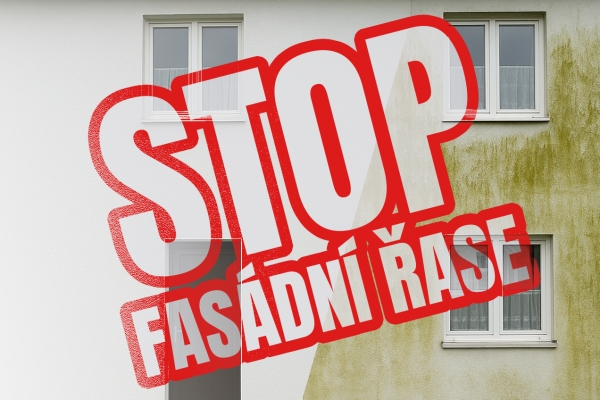 Nenechte fasádu zarůst: Jak vyčistit řasy, špínu i plísně a obnovit vzhled domu