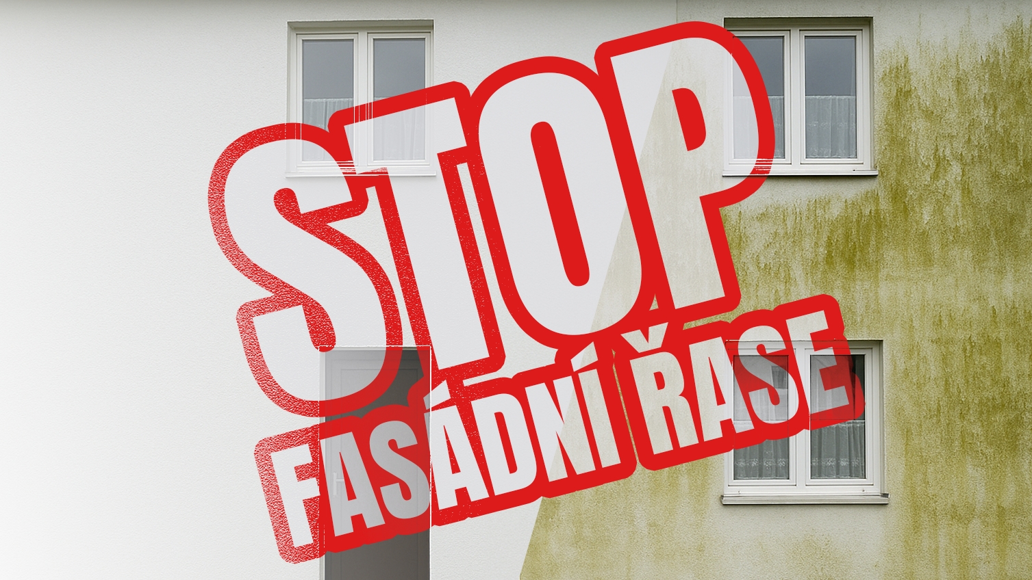 Nenechte fasádu zarůst: Jak vyčistit řasy, špínu i plísně a obnovit vzhled domu
